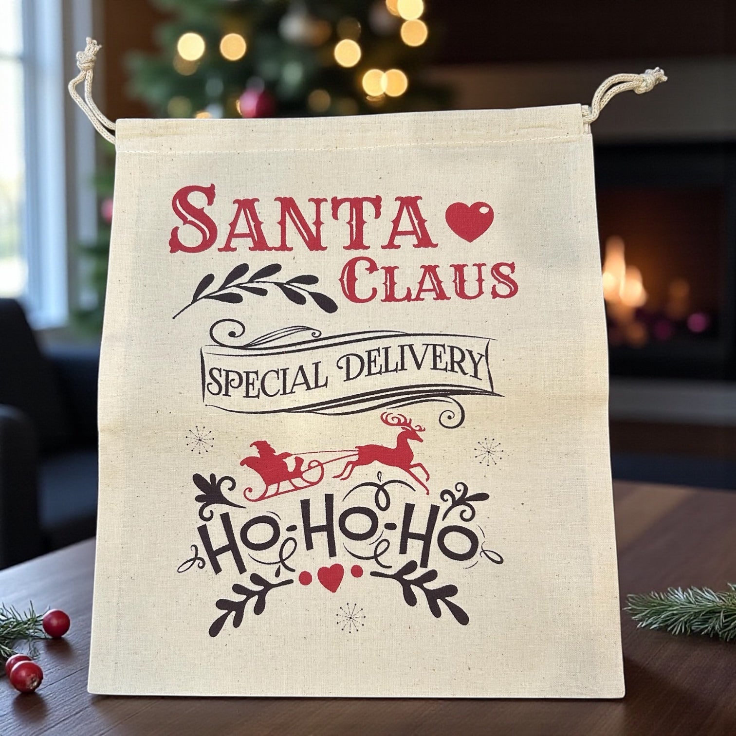 "Santa Claus Special Delivery" Santa Sack (10 x 12 in)